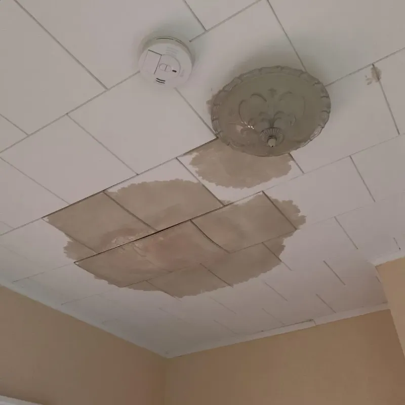 Ceiling Water Damage Repair in Huntsville, AR