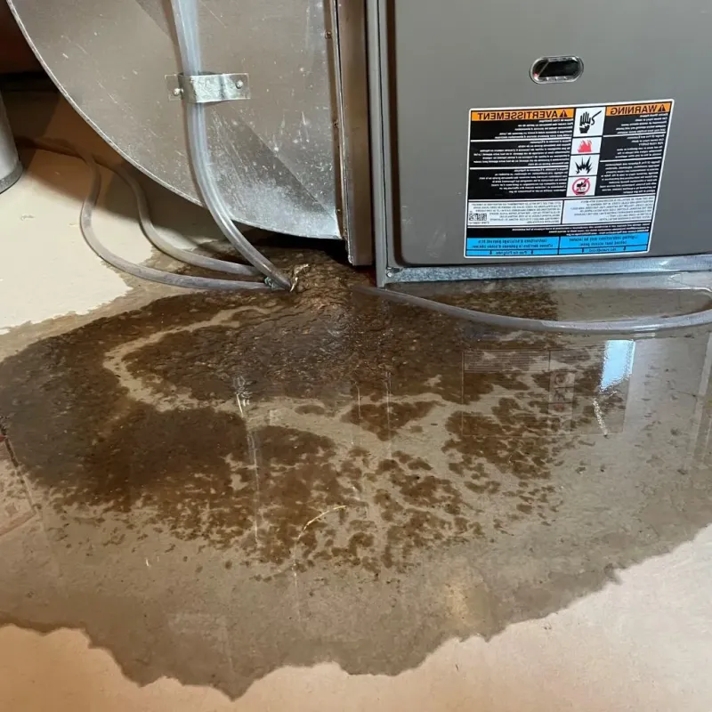 Pipe Burst and Leak Restoration in Huntsville, AR