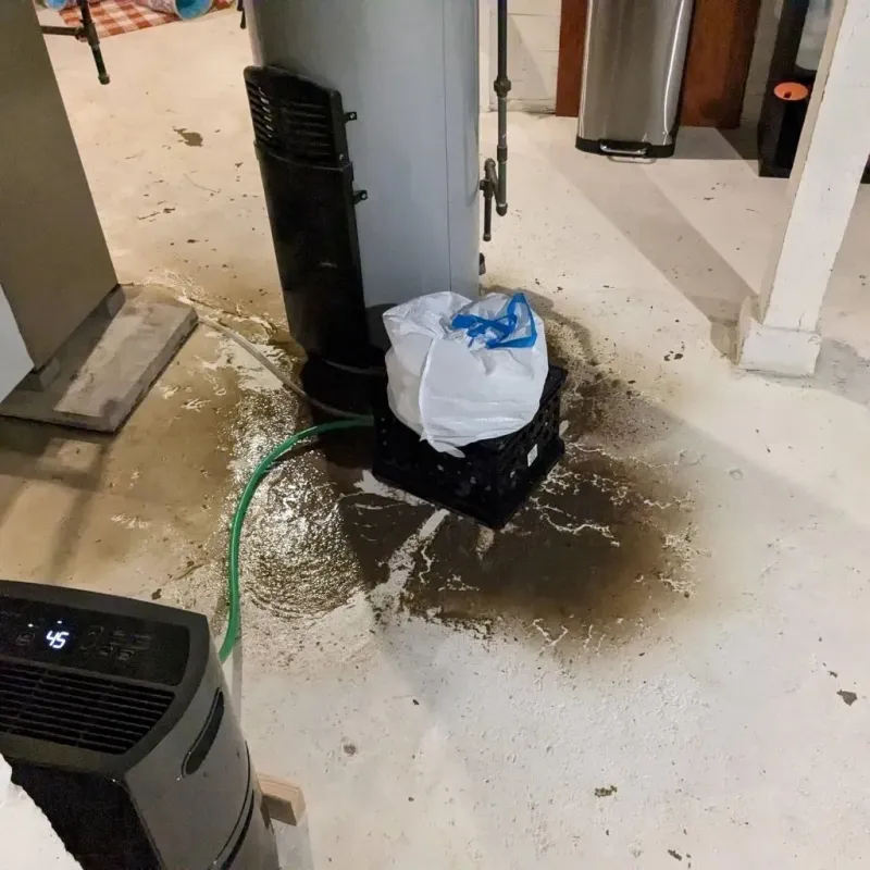Sewage Backup Cleanup Service in Huntsville, AR